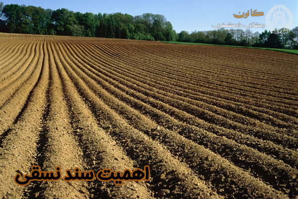 اهمیت سند نسقی